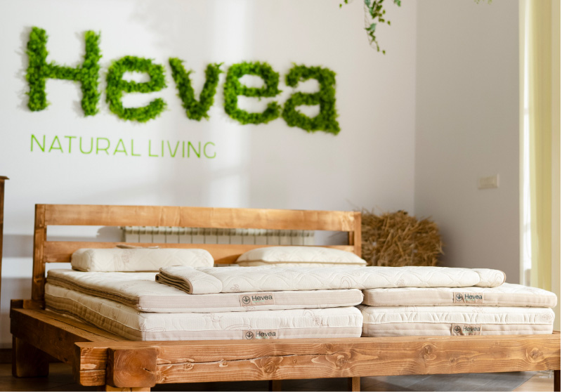 Hevea-Nasa-prica-04